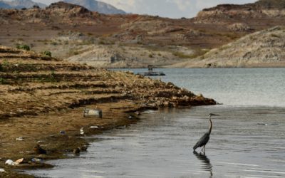 Western States Face First Colorado River Water Cuts As Megadrought Drains Reservoirs | HuffPost