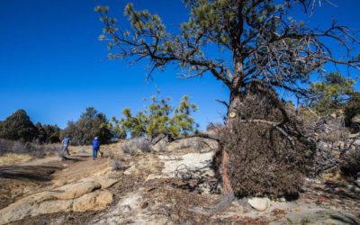 Equity and inclusion in the outdoors discussed in Colorado Springs | OutThere Colorado