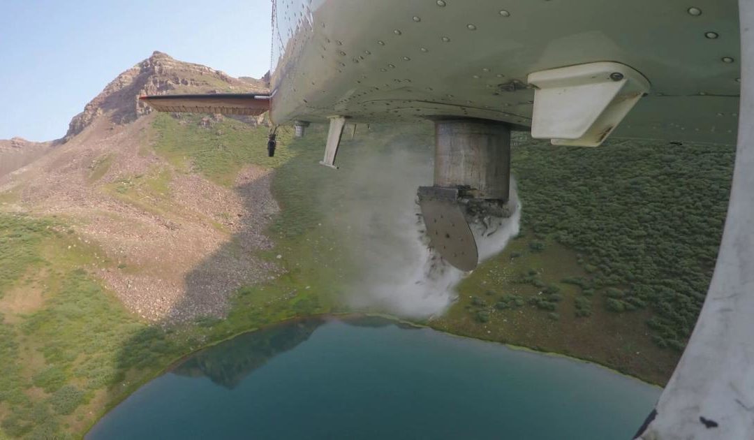[VIDEO] Colorado dropping 275,000 fish from planes into high mountain lakes | OutThere Colorado