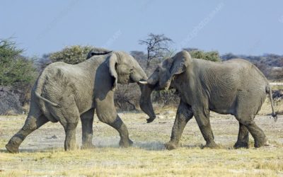 The Colorado GOP is wrong to lock out Republican voters and kill primary elections | Colorado Peak Politics