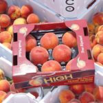 Palisade peaches: Colorado restaurants celebrate harvest with peach-inspired menus