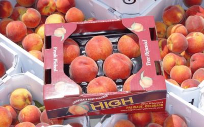 Palisade peaches: Colorado restaurants celebrate harvest with peach-inspired menus