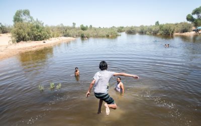 The Colorado River Runs Again – YES! Magazine