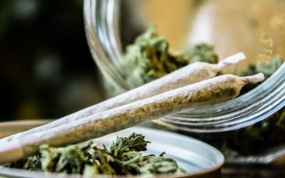 New State Cannabis Office Debuts in Colorado