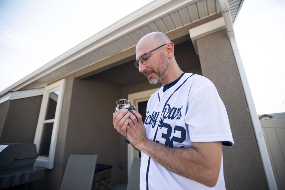 Hedgehog running club based in Colorado Springs spreads smiles and tracks high miles