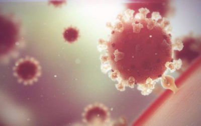 COVID cases rising faster in Colorado children than adults, though few kids hospitalized – Longmont Times-Call