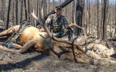 Hunter Bags Giant Elk in Colorado OTC Area
