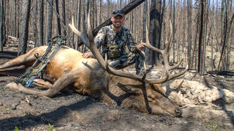 Hunter Bags Giant Elk in Colorado OTC Area