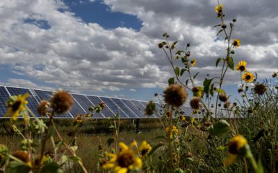 Colorado looks to be ahead of Biden’s called-for pace on renewable energy