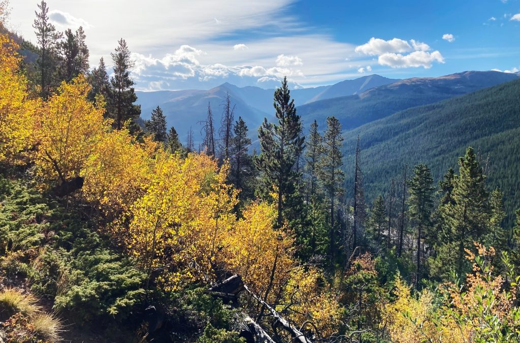 Scenic drives for leaf-peeping, fall colors in Colorado