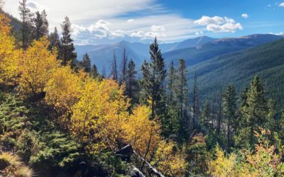 Scenic drives for leaf-peeping, fall colors in Colorado