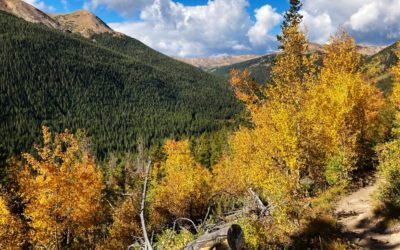 Colorado Leaf-peeping: Tress changing first in Northern Colorado
