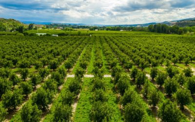 Colorado River District Surpasses $2 Million in Total 2021 Grants