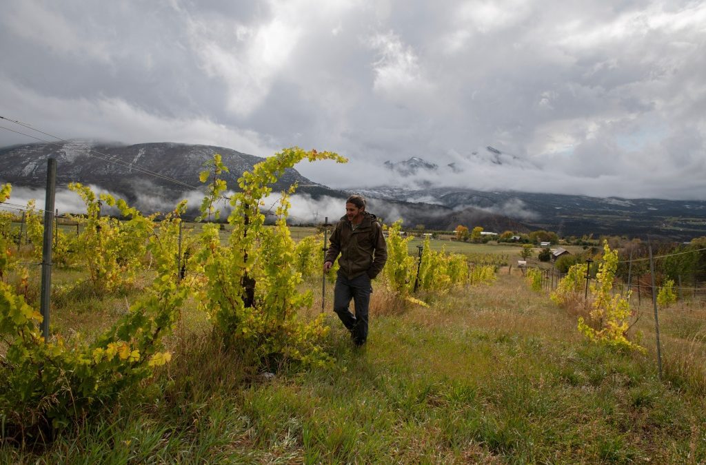Colorado hand-made wine working towards sustainability in Paonia
