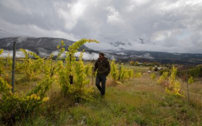 Colorado hand-made wine working towards sustainability in Paonia