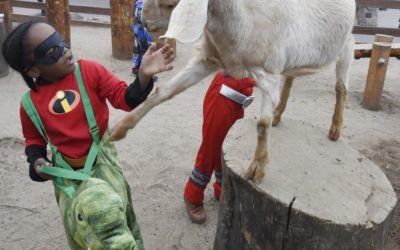 Boo at the Zoo offers tricks, treats and more Halloween fun in Colorado Springs