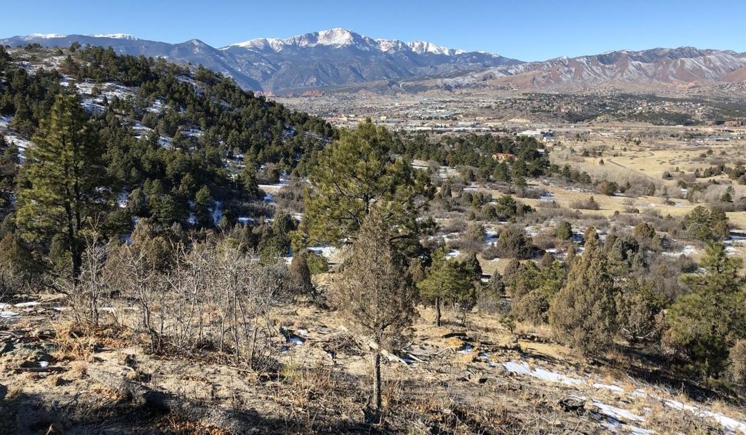 Colorado Springs city councilman calls for boosting $55M parks budget, ahead of November ballot question