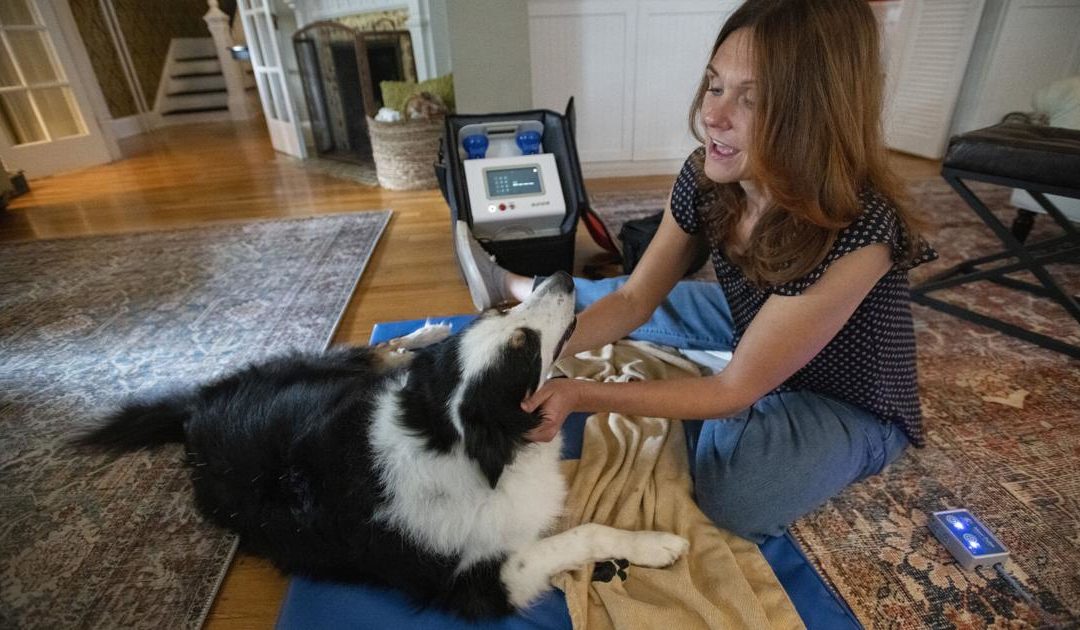 Colorado Springs veterinarian seeks to make pets’ golden years truly that