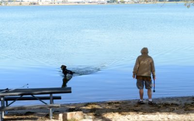 Colorado advisory board to discuss officially naming Longmont’s Union Reservoir – Longmont Times-Call