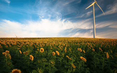 “We Must Think Anew and Act Anew”: Wind and Weed on the Plains – Colorado Pols