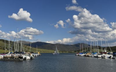 Colorado tied for state with fewest shark attacks, Gov. Jared Polis boasts