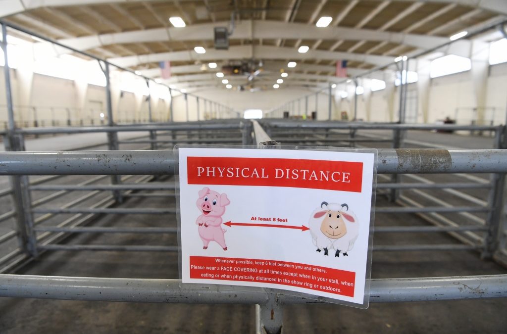 Colorado summer festivals linked to 300 COVID-19 cases