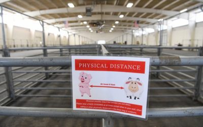 Colorado summer festivals linked to 300 COVID-19 cases