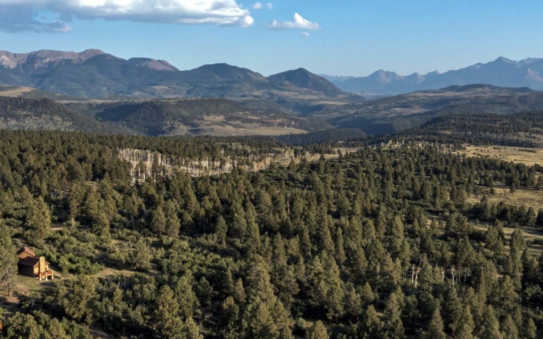 Four Shooting Stars Ranch | Placerville Colorado | Fay Ranches