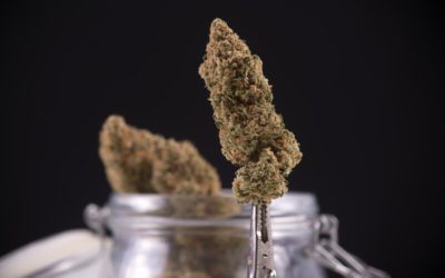 Mile High Dispensary Denver Colorado Review