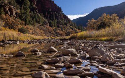 Drought is forcing farmers in Colorado to make tough choices