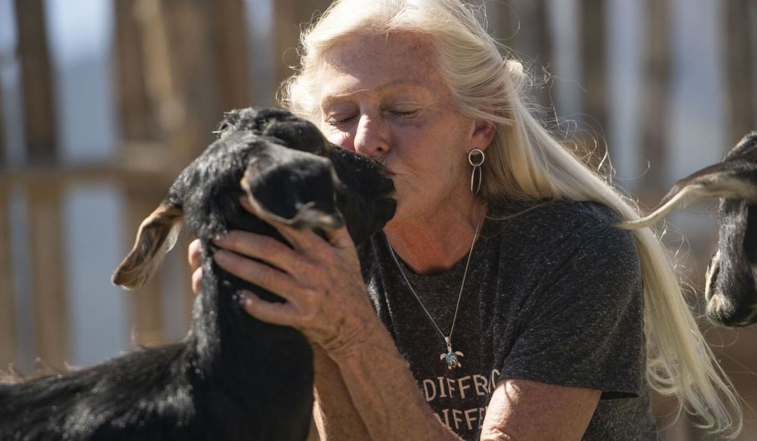 Colorado goat farm is a dream come true for fifth-generation farmer