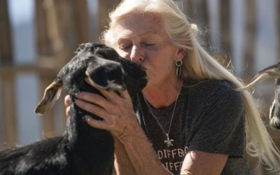 Colorado goat farm is a dream come true for fifth-generation farmer