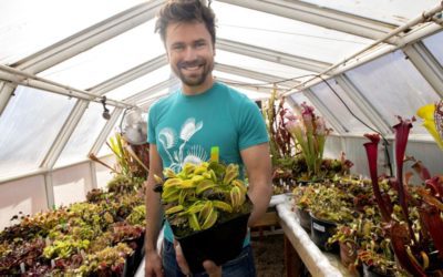 A Venus flytrap featured in Guinness World Records book belongs to Colorado Springs man