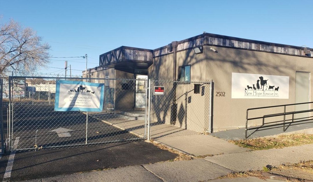 Colorado Springs animal shelter ordered to close over concerns of highly contagious viral disease