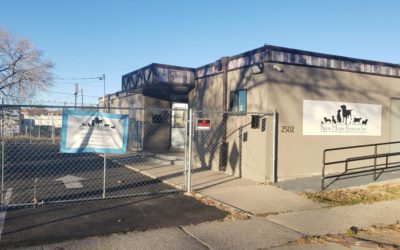 Colorado Springs animal shelter ordered to close over concerns of highly contagious viral disease