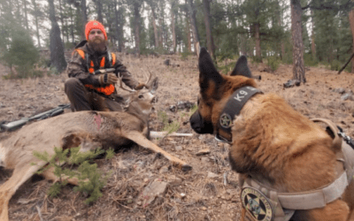 Colorado Parks and Wildlife K-9 helps hunter track down injured buck | OutThere Colorado