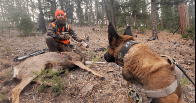 Colorado Parks and Wildlife K-9 helps hunter track down injured buck | OutThere Colorado
