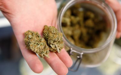 Proposition 119: Voters decide whether to hike Colorado marijuana taxes to pay for tutoring