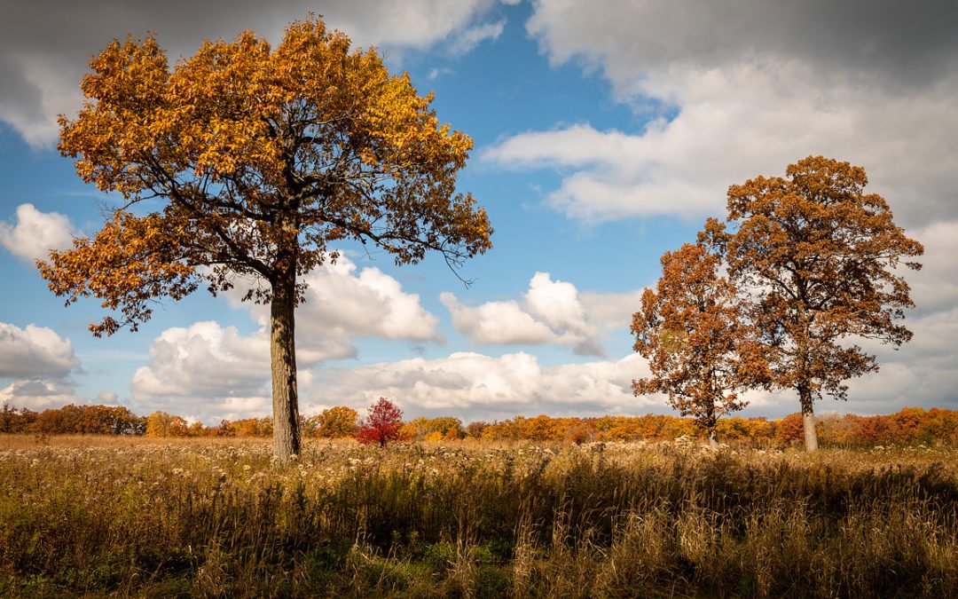 Fort Sheridan Lake County Forest Preserve, Lake Forest, Illinois, USA