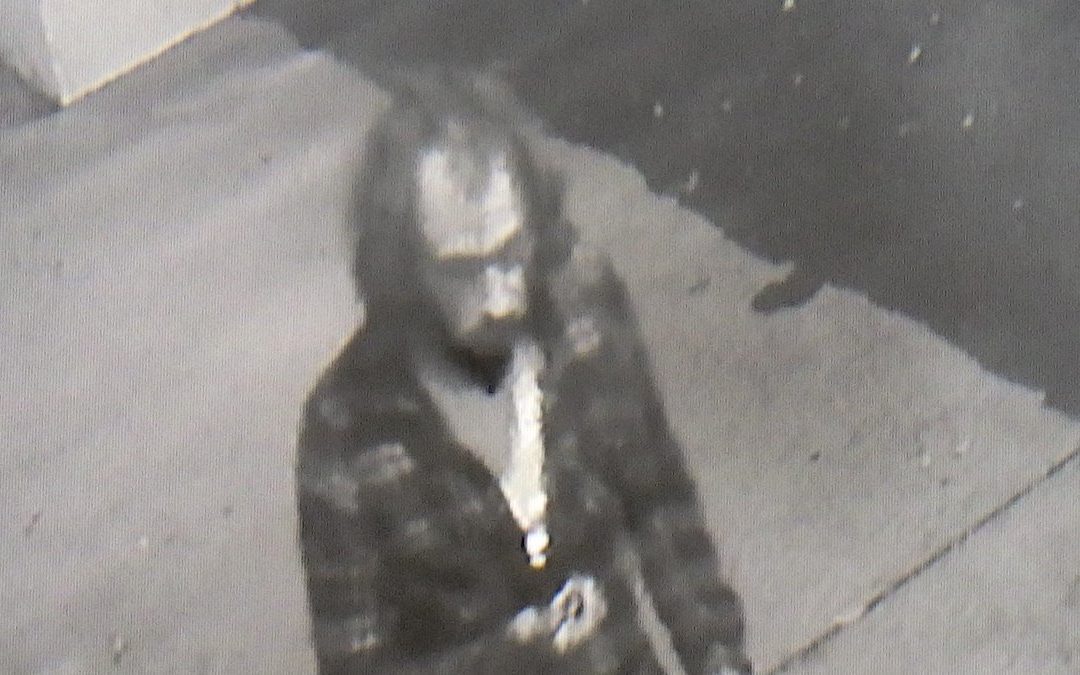 Authorities seek tips tied to arson at Aurora restaurant – Sentinel Colorado