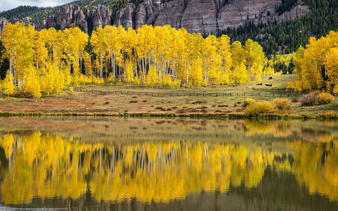 Rowdy Lake, Silver Jack Recreation Area, Colorado, USA