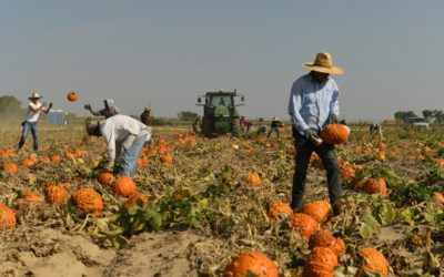 In Colorado, New Year’s wishes for no more supply-chain woes might be put on hold