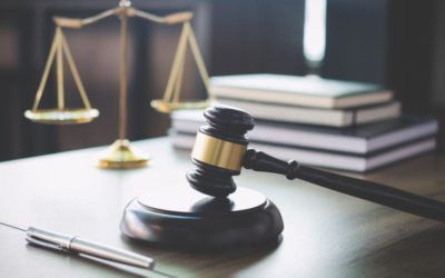 Lawsuit can only target Colorado Springs K-9 officer whose dog pulled man from shower: Judge