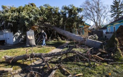 Colorado Springs-area windstorm downs power lines throughout Colorado Springs, damages vehicles, causes evacuation