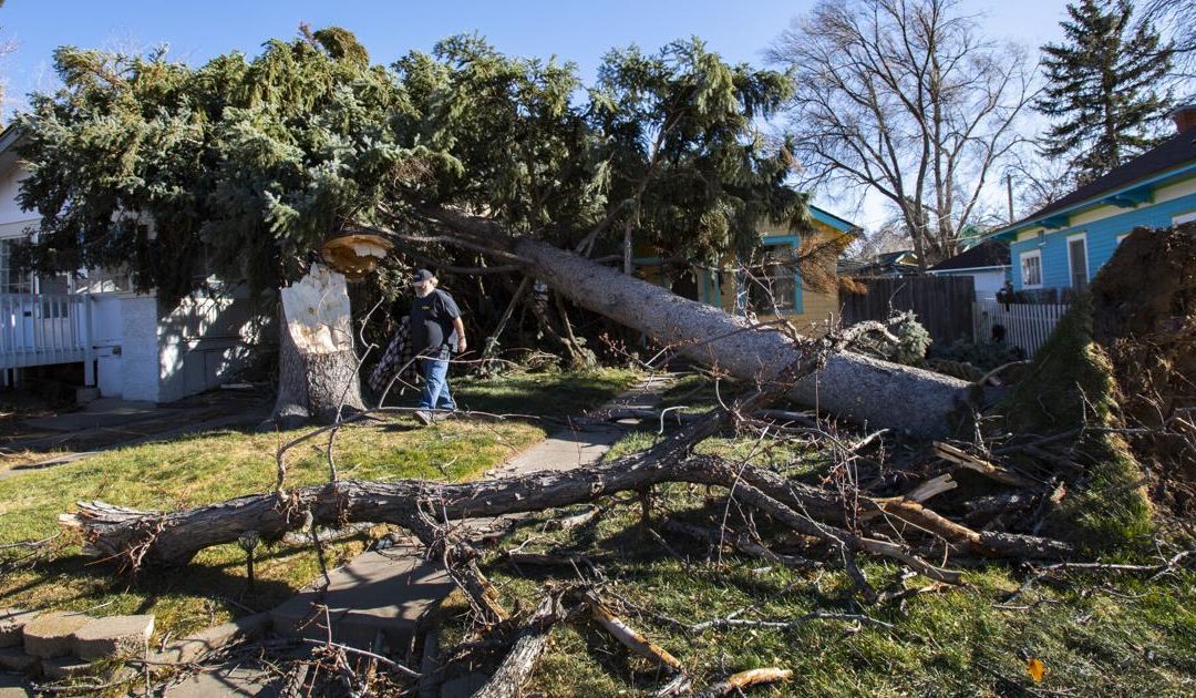 PHOTOS: Windstorm slams Colorado Springs area