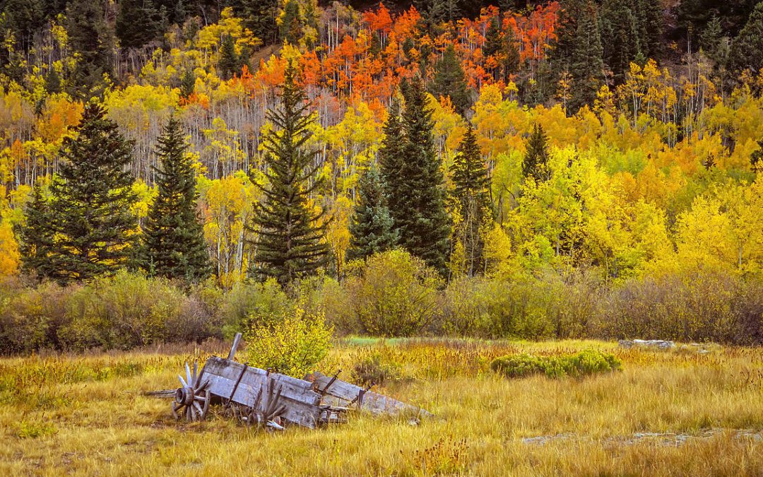 Ashcroft Autumn Colors, Colorado, USA