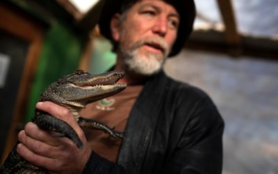 Colorado Gators started as a natural garbage disposal. Now it’s one of the state’s most unique tourist attractions.