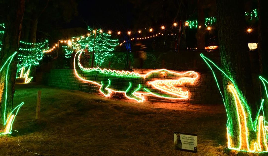 2021 holiday events around the Colorado Springs area