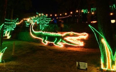 2021 holiday events around the Colorado Springs area