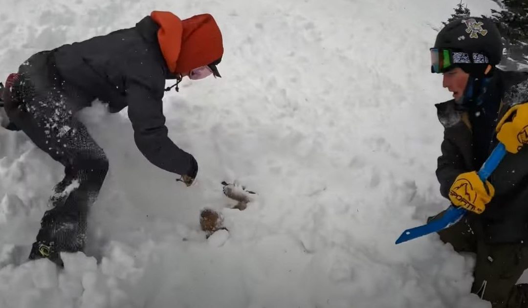 Video: College Students Find and Rescue Dog Buried by Avalanche, Missing for Over 20 Minutes